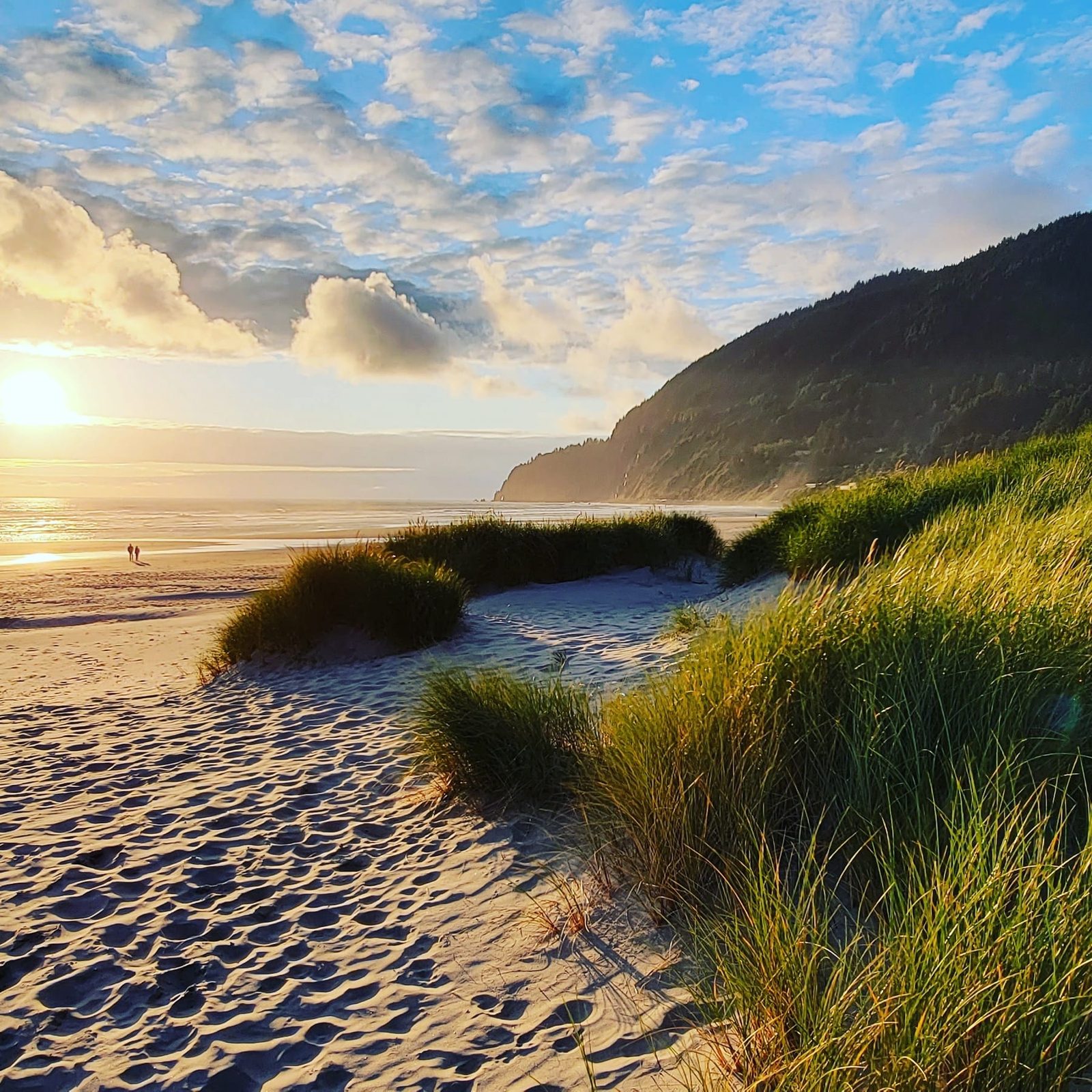 Warm sunset light over the landscape.